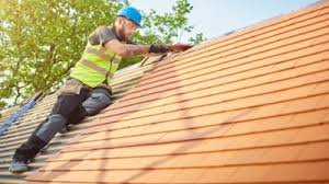 Best Rubber Roofing (EPDM, TPO)  in Williamsburg, VA
