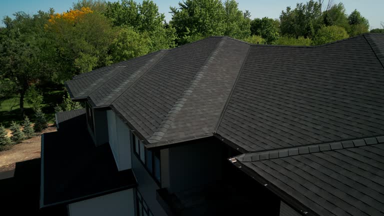 Best Storm Damage Roof Repair  in Williamsburg, VA