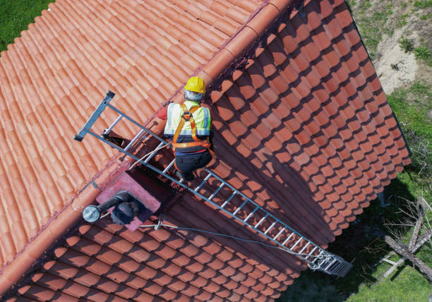 Best Storm Damage Roof Repair  in Williamsburg, VA